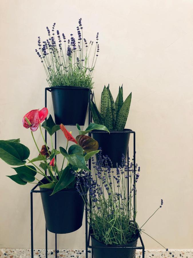 Bed & Breakfast Le Porte-bonheur Bruges